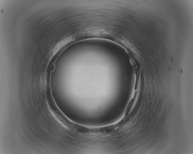 X0000086060630200703301042