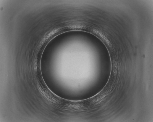 X0000086060631200703301042