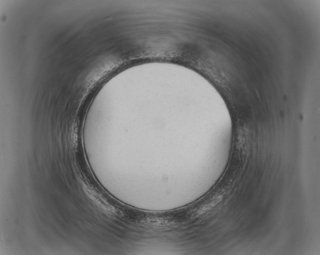 X0000086060632200703301042