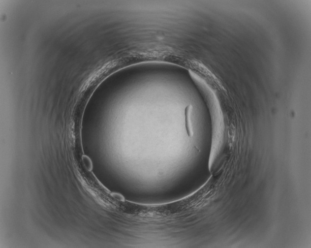 X0000086060634200703301042