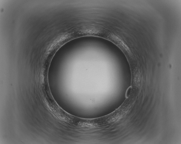 X0000086060635200703301042