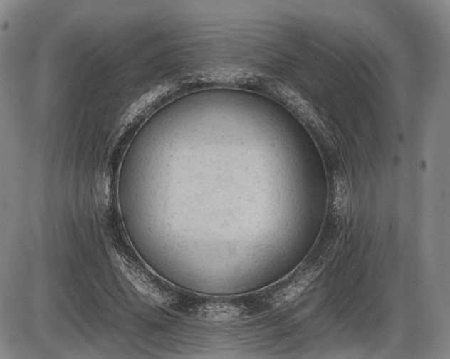 X0000086060636200703301042