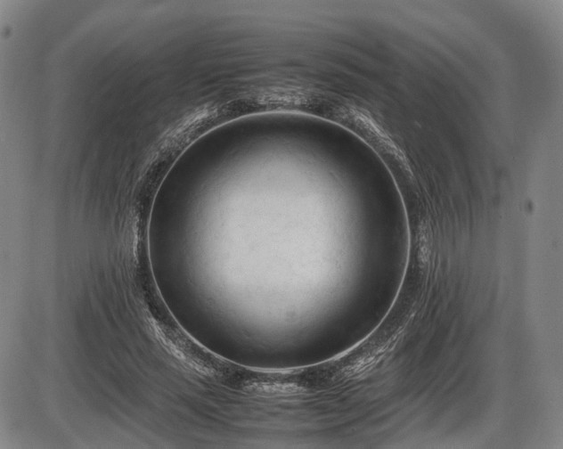 X0000086060637200703301042