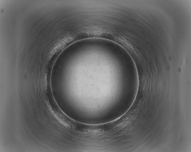 X0000086060638200703301042