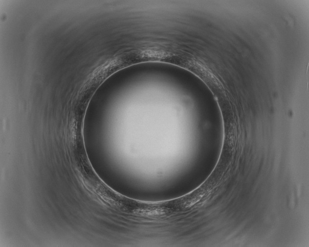 X0000086060639200703301042