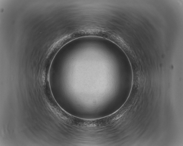 X0000086060640200703301042