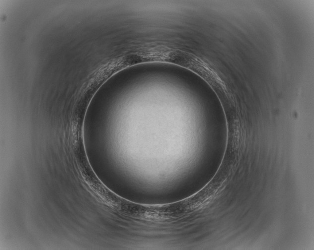 X0000086060641200703301042