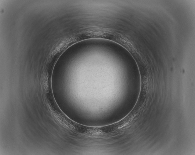 X0000086060642200703301042