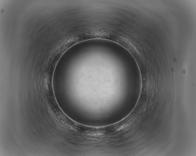 X0000086060643200703301042