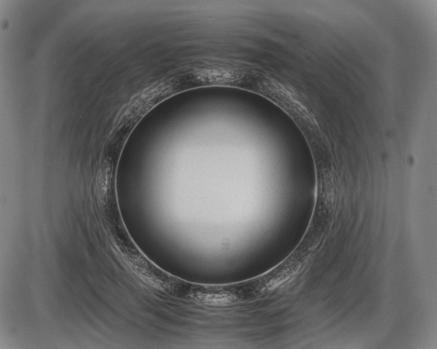 X0000086060645200703301042