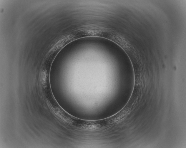 X0000086060646200703301042