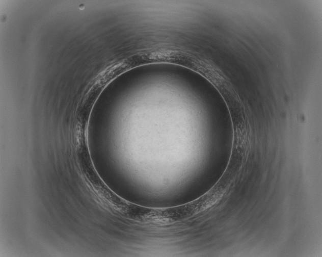 X0000086060648200703301042