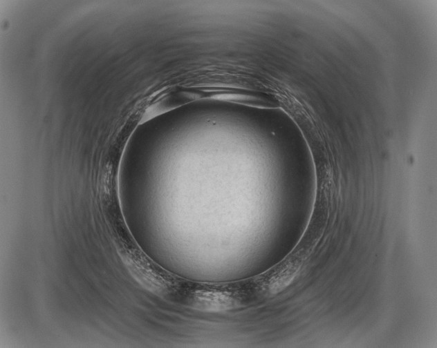 X0000086060649200703301042