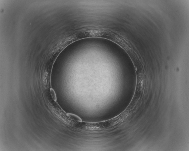 X0000086060650200703301042