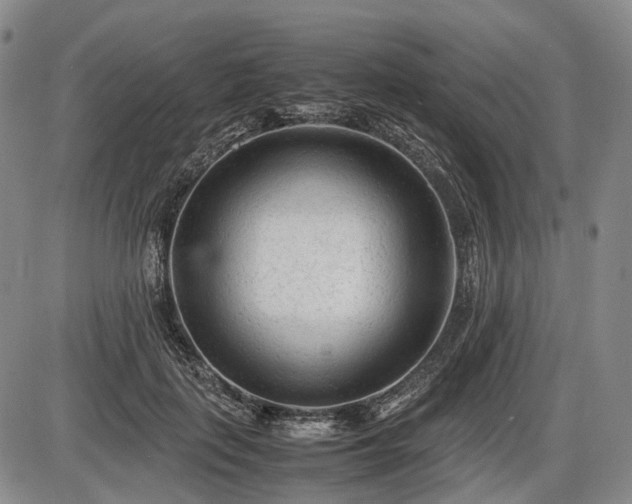 X0000086060651200703301042