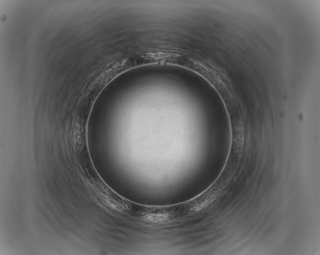 X0000086060653200703301042