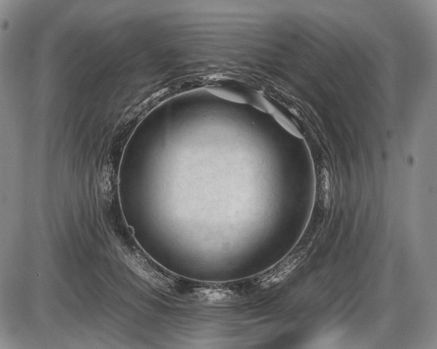 X0000086060654200703301042