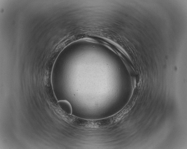 X0000086060656200703301042