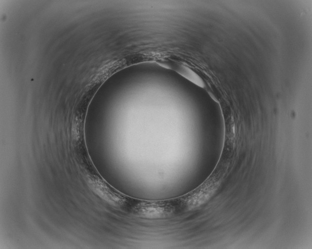 X0000086060658200703301042