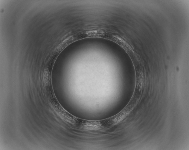 X0000086060659200703301042