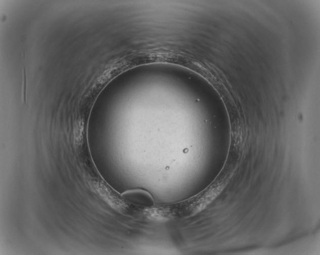 X0000086060660200703301042