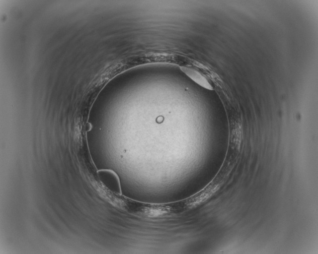 X0000086060662200703301042