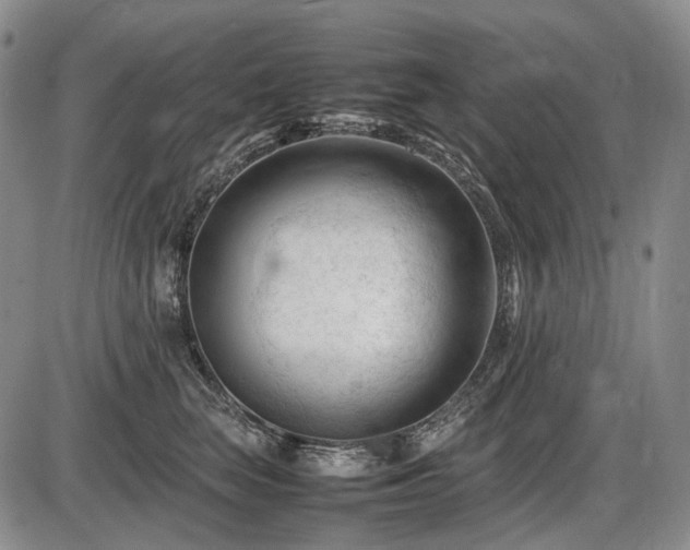 X0000086060663200703301042