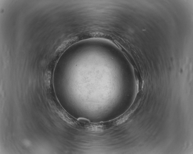 X0000086060664200703301042