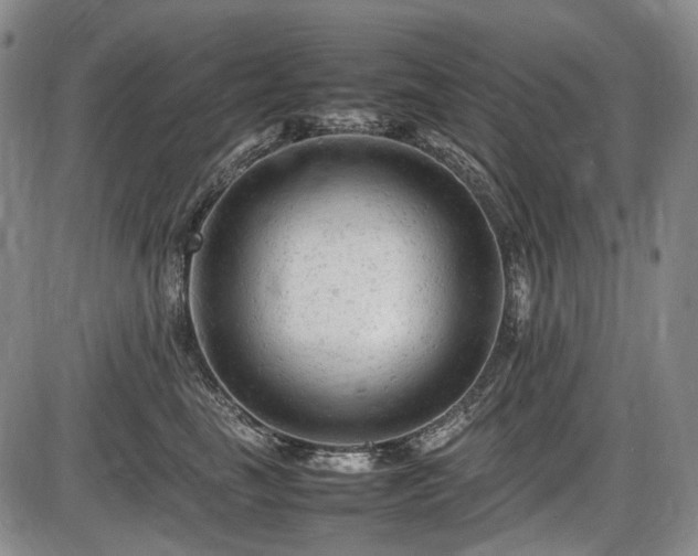 X0000086060665200703301042