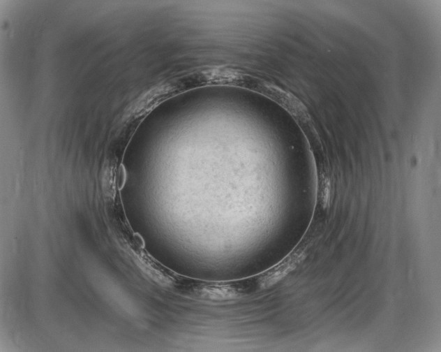 X0000086060666200703301042