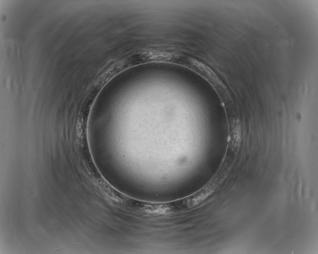 X0000086060667200703301042