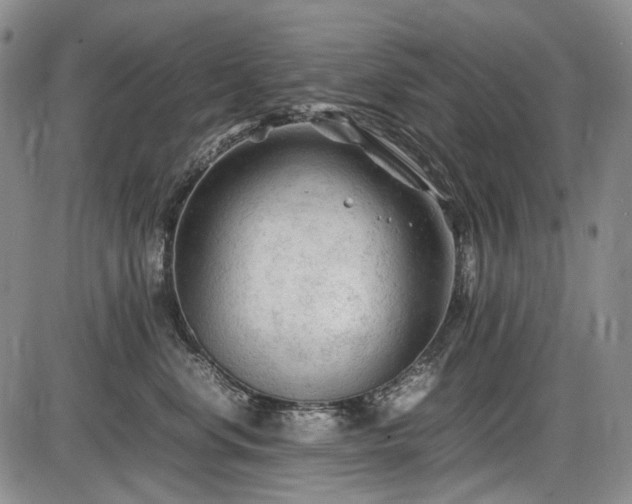 X0000086060668200703301042