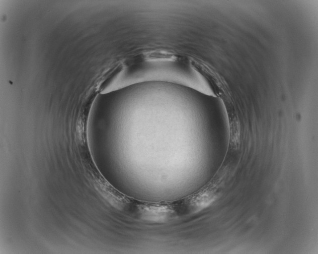 X0000086060669200703301042