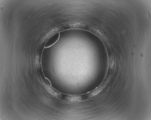 X0000086060670200703301042