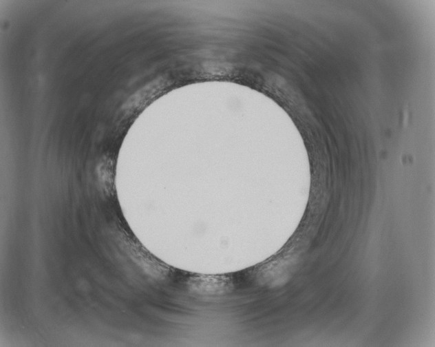 X0000086060672200703301042