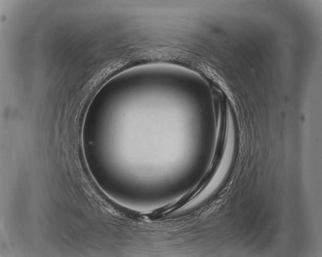 X0000086060673200703301041