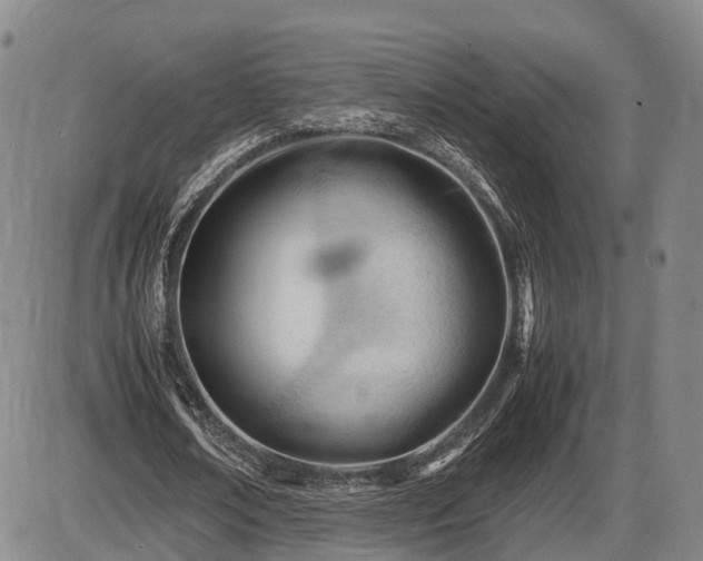 X0000086060674200703301041