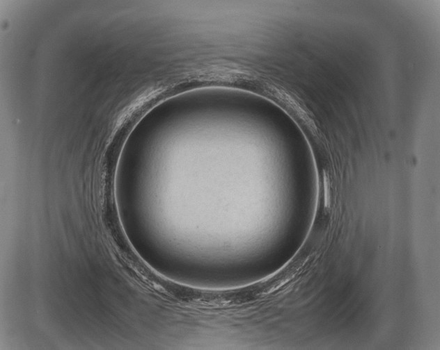 X0000086060675200703301041