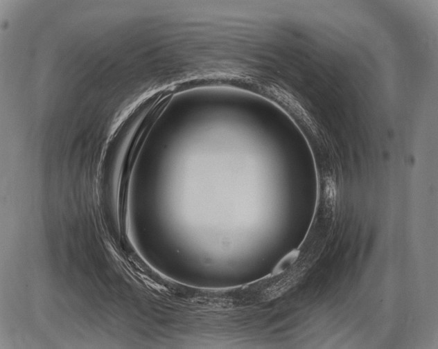 X0000086060676200703301041