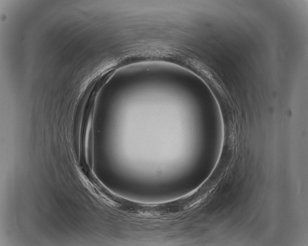 X0000086060677200703301041