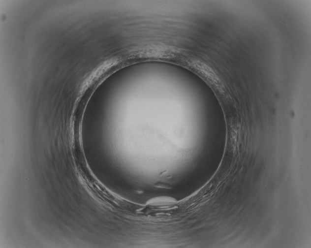 X0000086060678200703301041