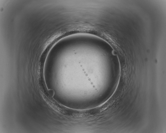 X0000086060679200703301041