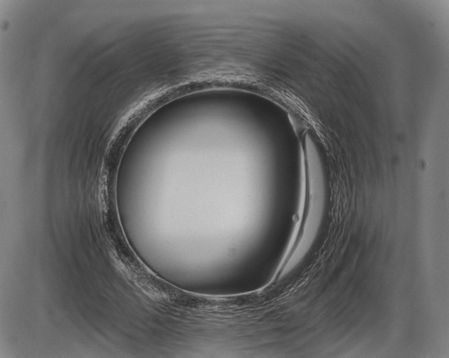 X0000086060680200703301041