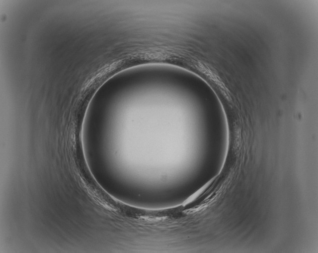 X0000086060681200703301041