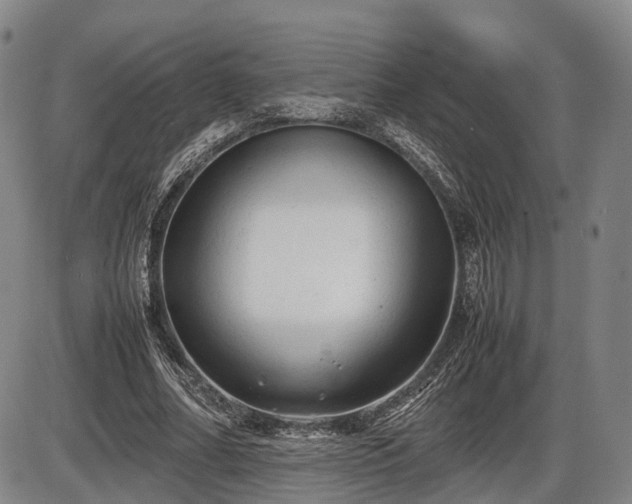 X0000086060682200703301041