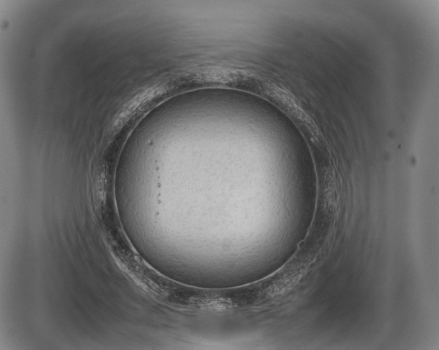 X0000086060683200703301041