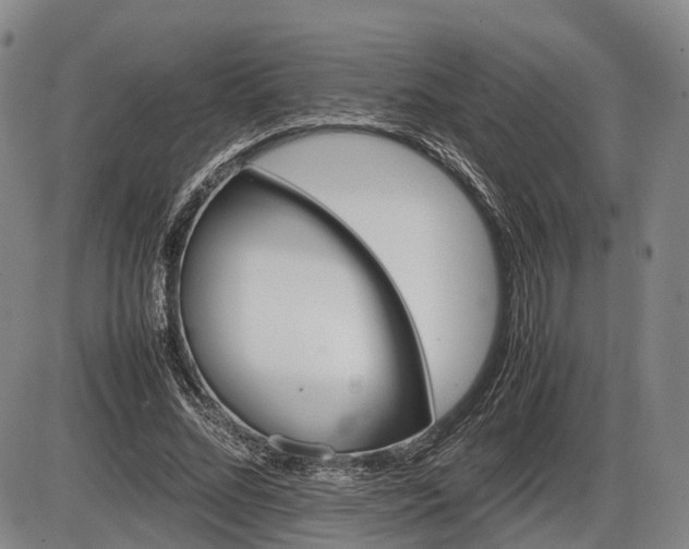 X0000086060684200703301041