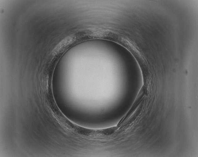 X0000086060685200703301041