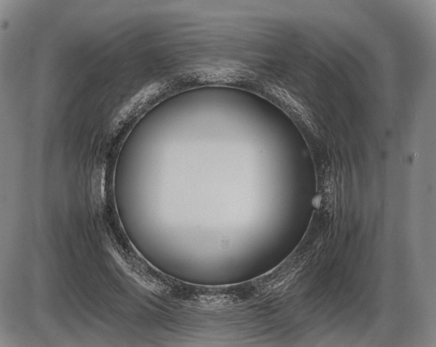 X0000086060686200703301041