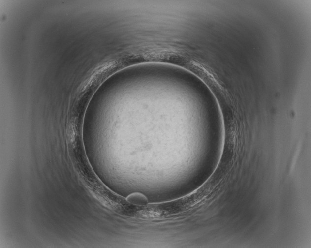 X0000086060687200703301041